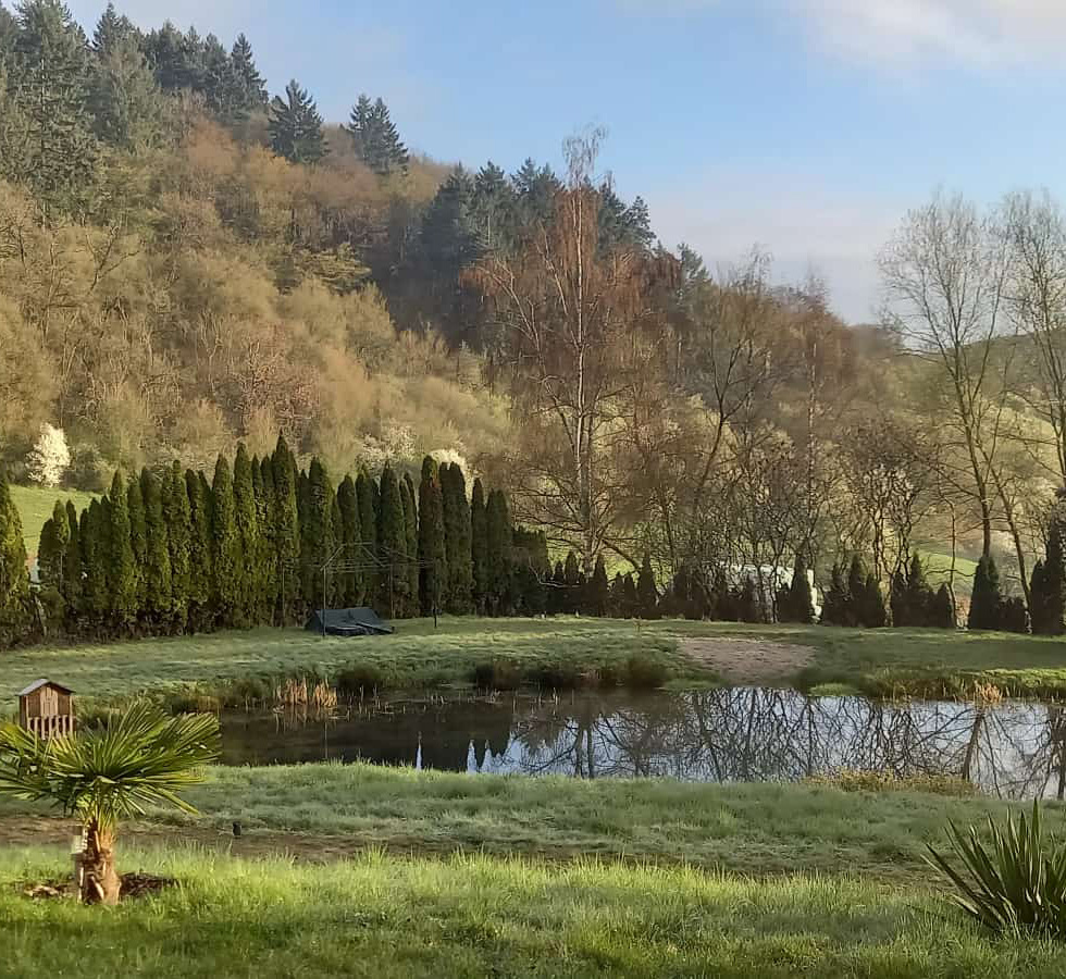 Grundstück Bayerfeld-Steckweiler mit See