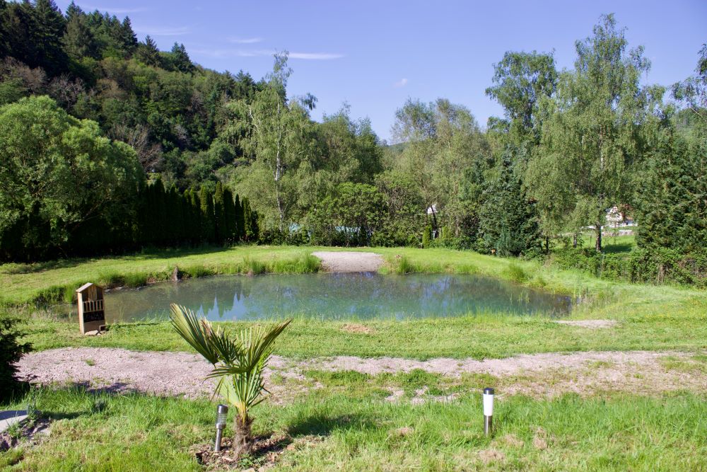 Wunderschöner Natursee